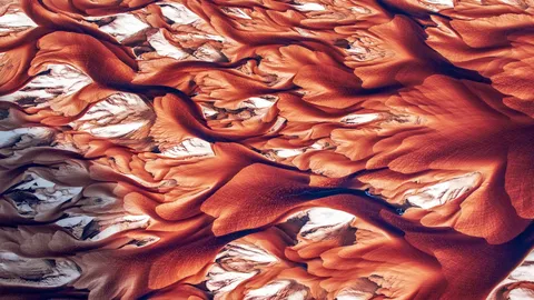 Len&ccedil;&oacute;is que se desdobram em cor