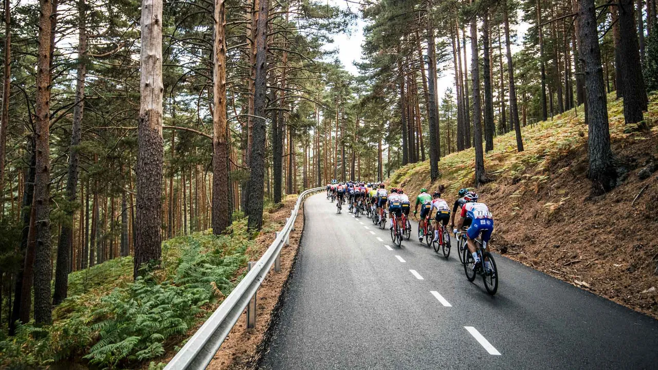 Vuelta a casa sobre ruedas