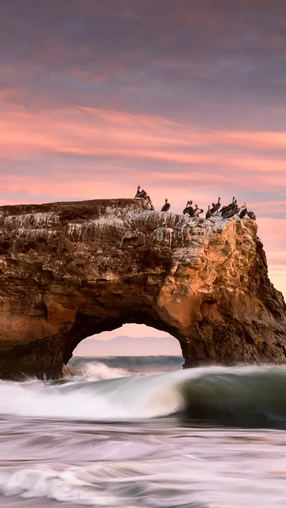 通往太平洋之窗