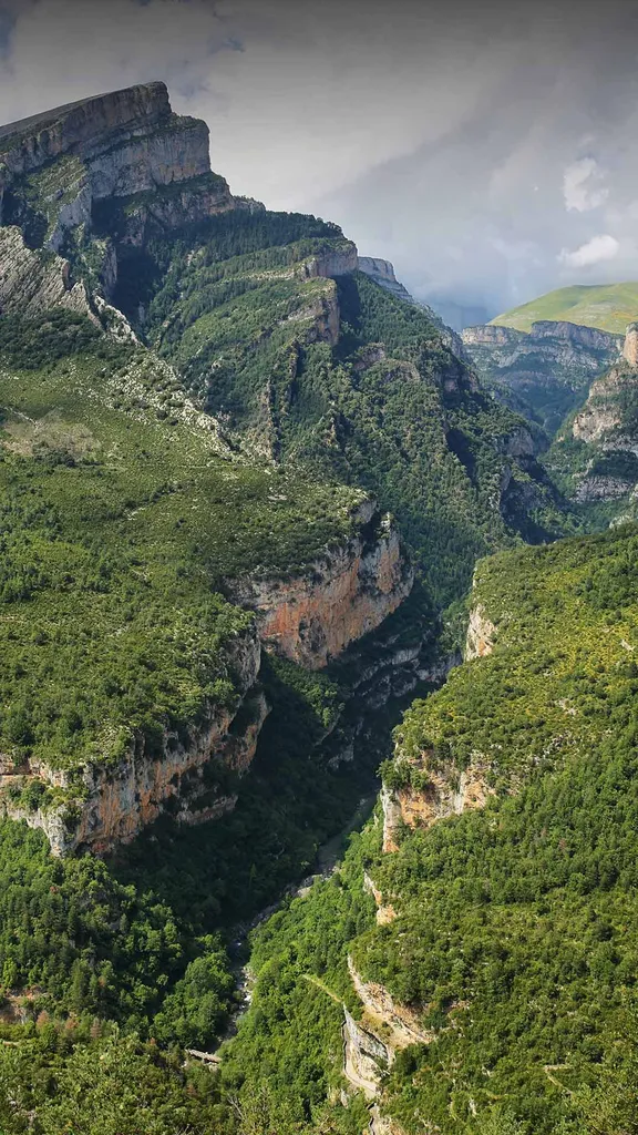 Andiamo fino in cima!