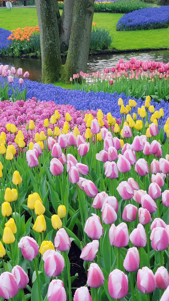 Fiori, follie e fragranze