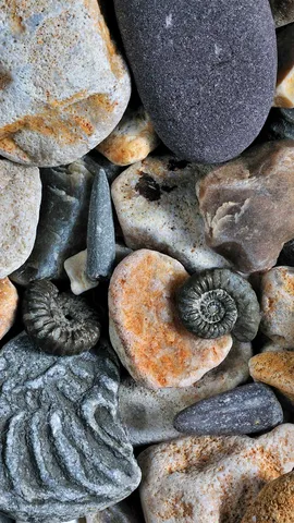 D&eacute;voiler le pass&eacute;