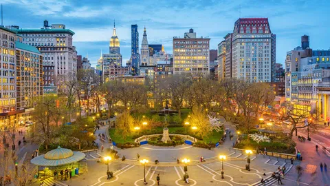 Luzes, c&acirc;mera, Nova York!