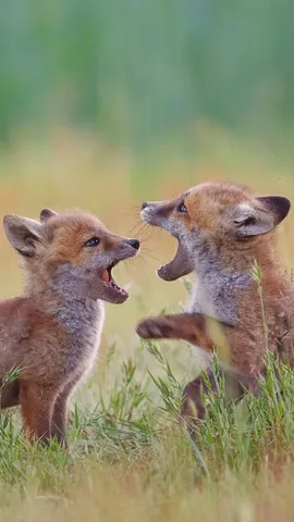 Lebenskraft durch Freundschaft und Leidenschaft