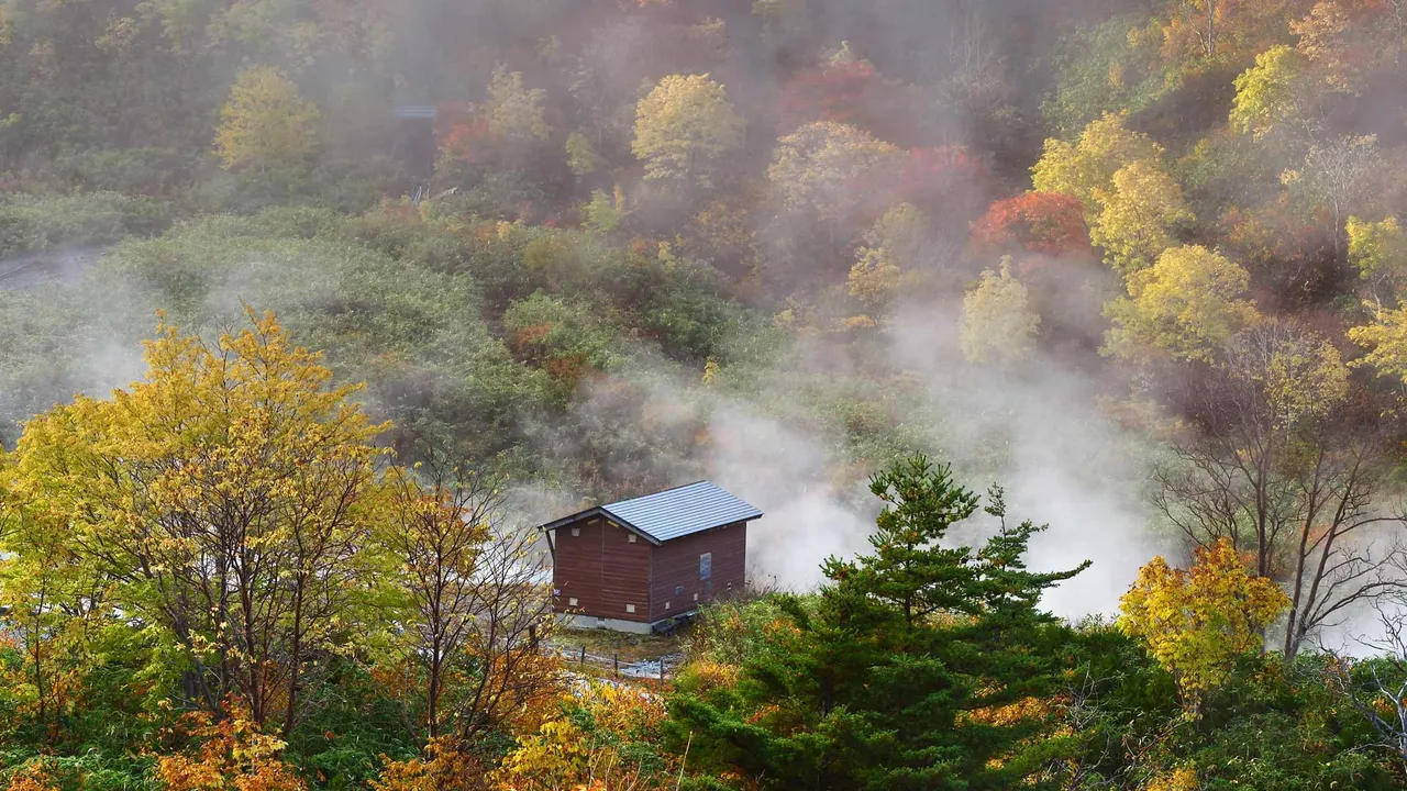 今日は「いい風呂の日」