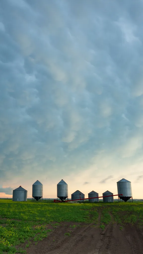 The breadbasket of Canada