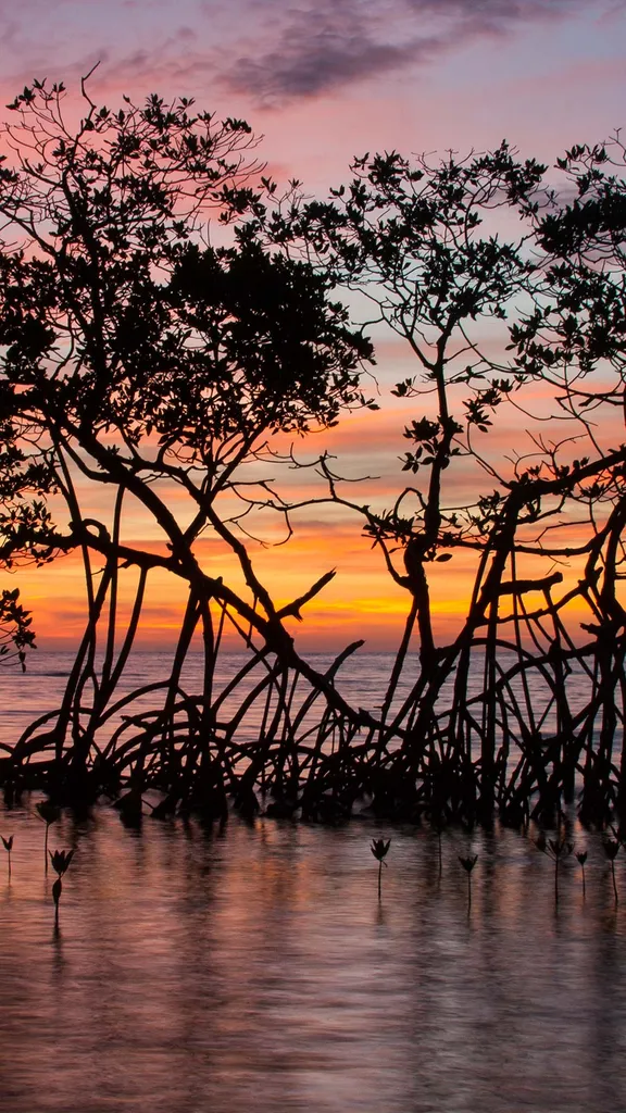 Between land and sea, life begins