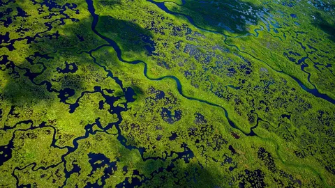 顺流而行