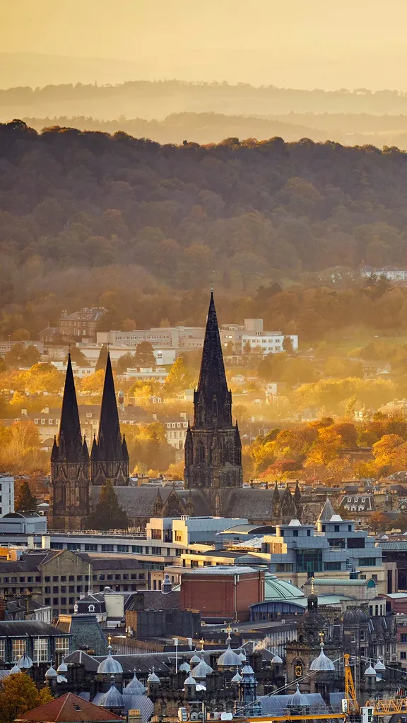 A majestic silhouette