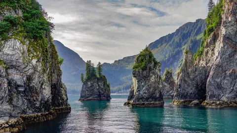 Spire Cove in Kenai Fjords National Park, Seward, Alaska, United States