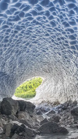 在地球上还是在外星？