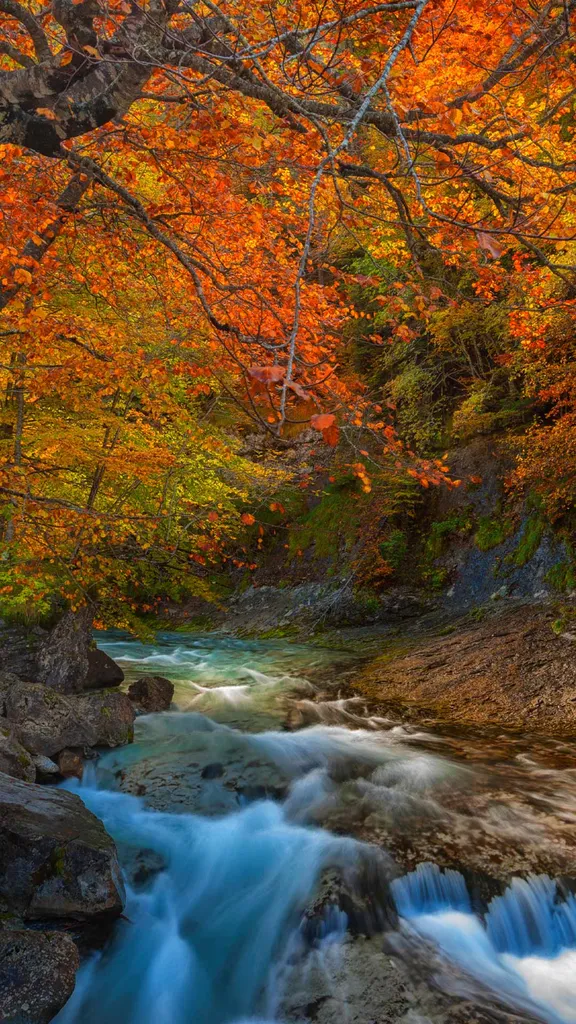 Oto&ntilde;o entrante, lluvias abundantes