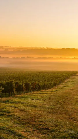 Onde hist&oacute;ria, natureza e vinho se encontram