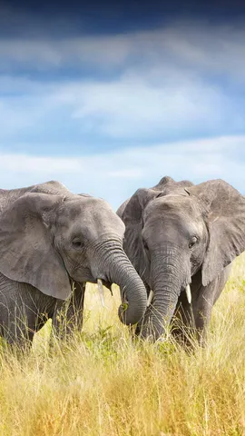 今天不是无关紧要的一天