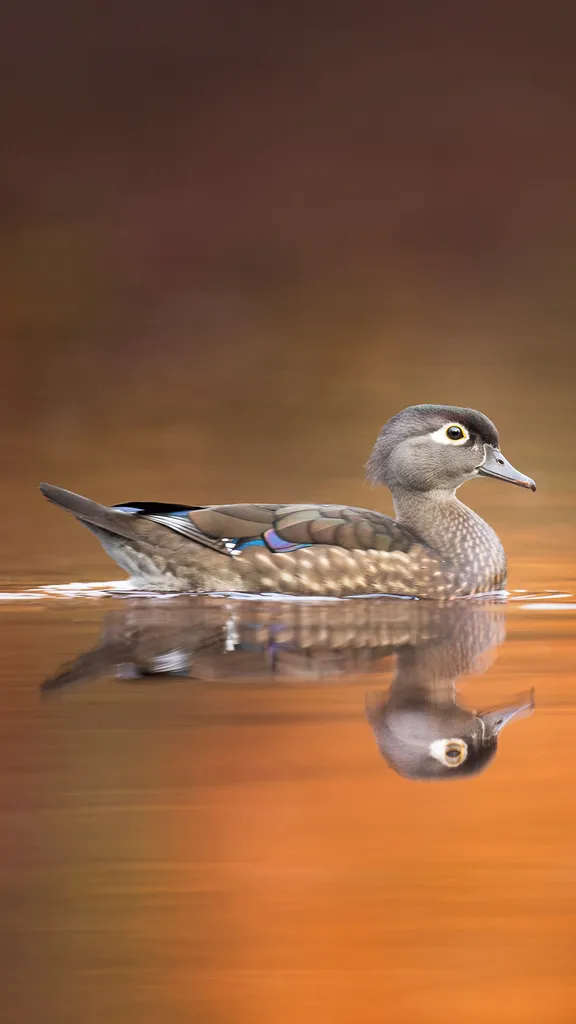 Instinkt kennt den Weg