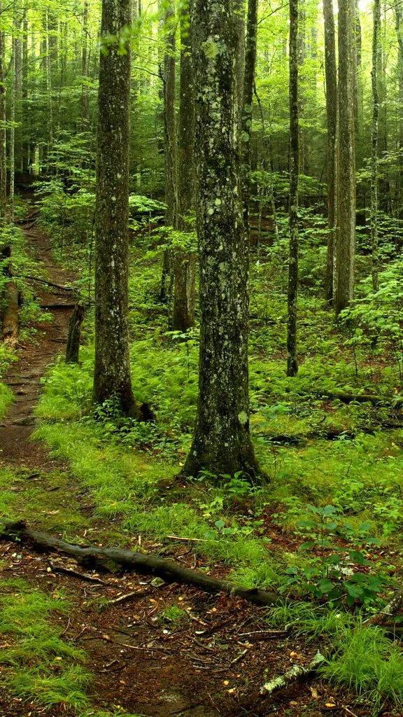 Into the thick of it