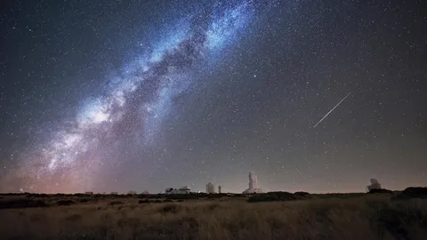 ペルセウス座流星群が輝く夜空
