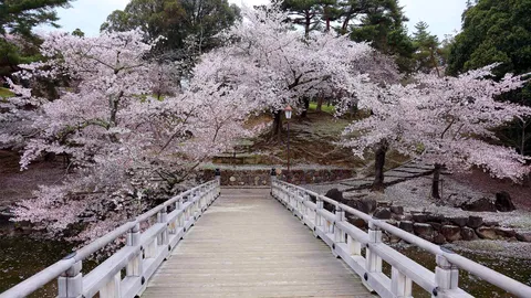 今日は年度初日