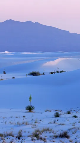 世界最大的石膏沙漠