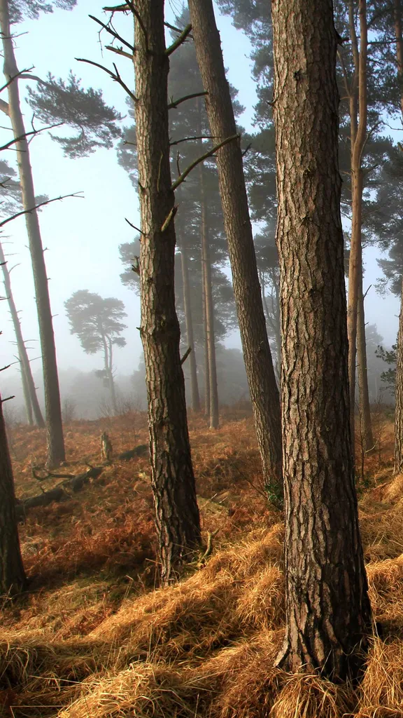 A place to think, think, think