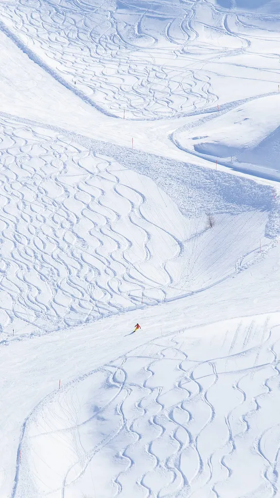 雪に覆われたアルプスの峠