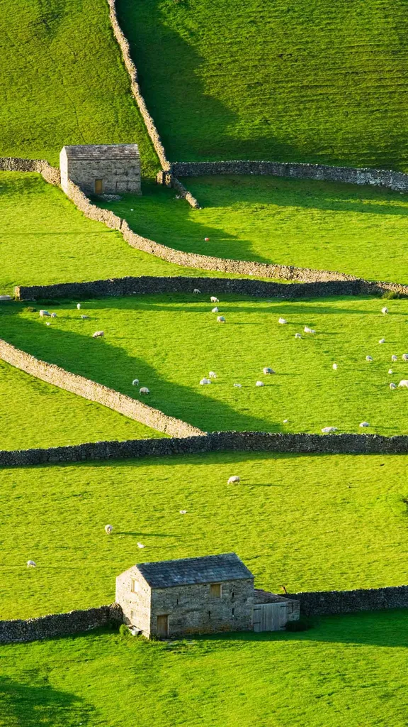 Un lugar verde y tranquilo