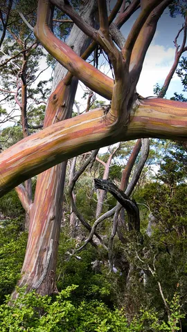 L&rsquo;&eacute;quilibre d&eacute;licat de la nature