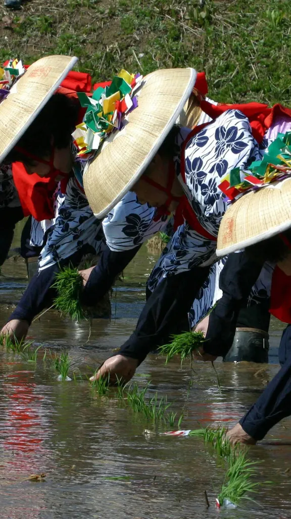苗を植える早乙女手代