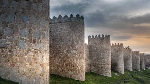 Wall of fame