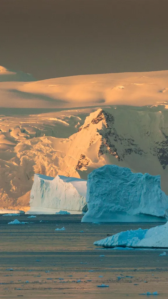 保护最后一片大荒野