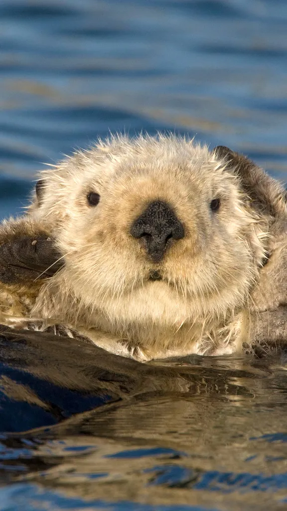 Limpieza facial "nutri-a-tiva"