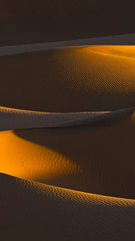 Cada dia uma duna diferente