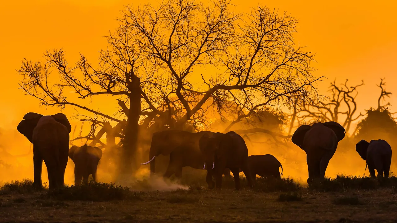 Giants worth protecting