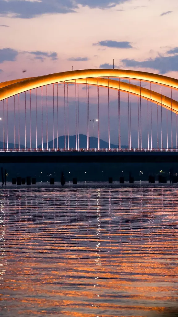 飞掠河面