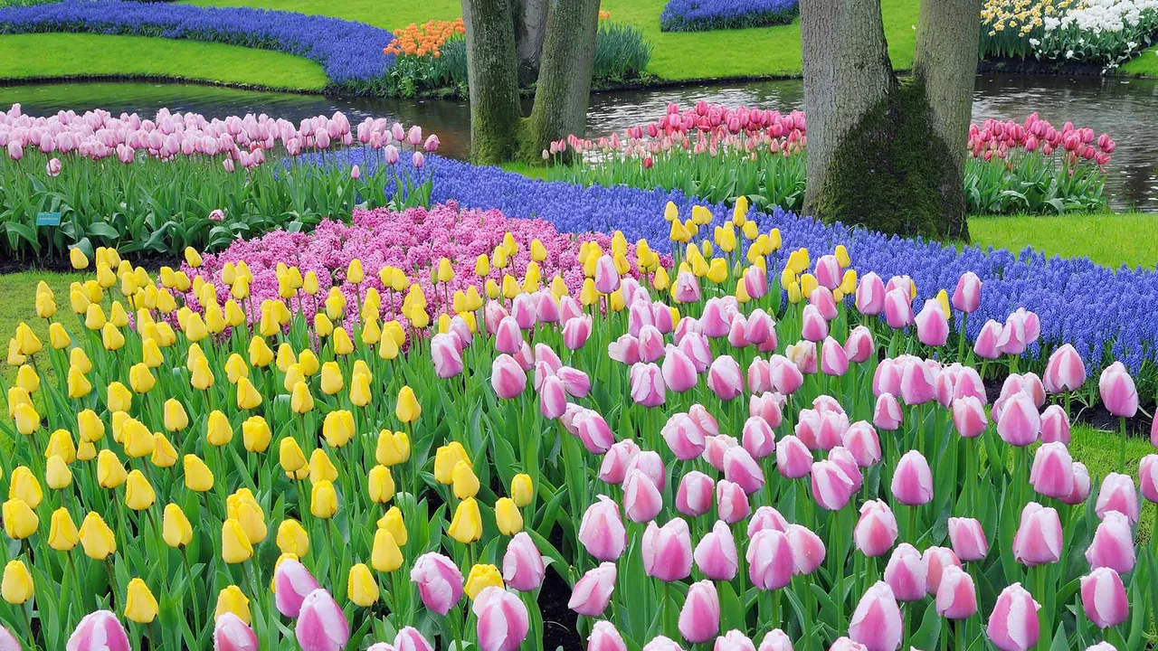 Fiori, follie e fragranze