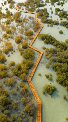 Halophyten, soweit das Auge reicht