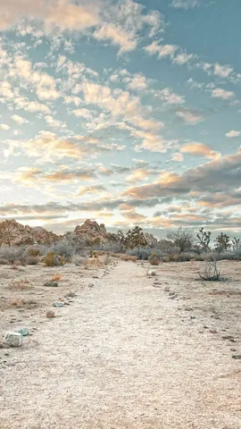 Joshua Tree National Park, California, United States