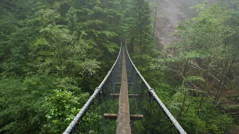 Logan Creek Suspension Bridge, West Coast Trail, British Columbia, Canada