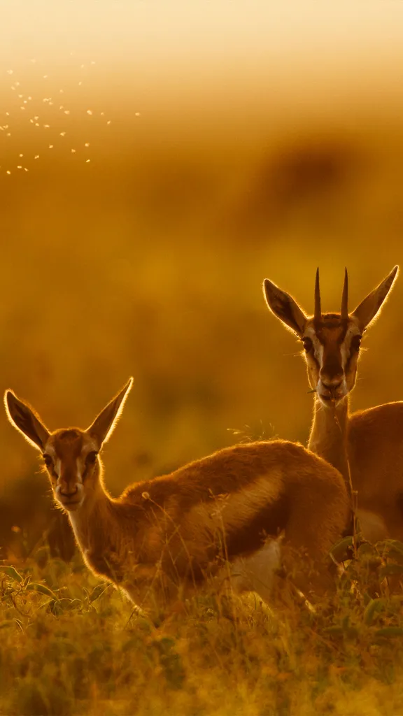 Following mom's lead