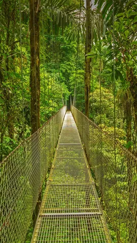 上面的空气怎么样？