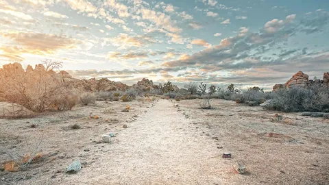 Joshua Tree National Park, California, United States