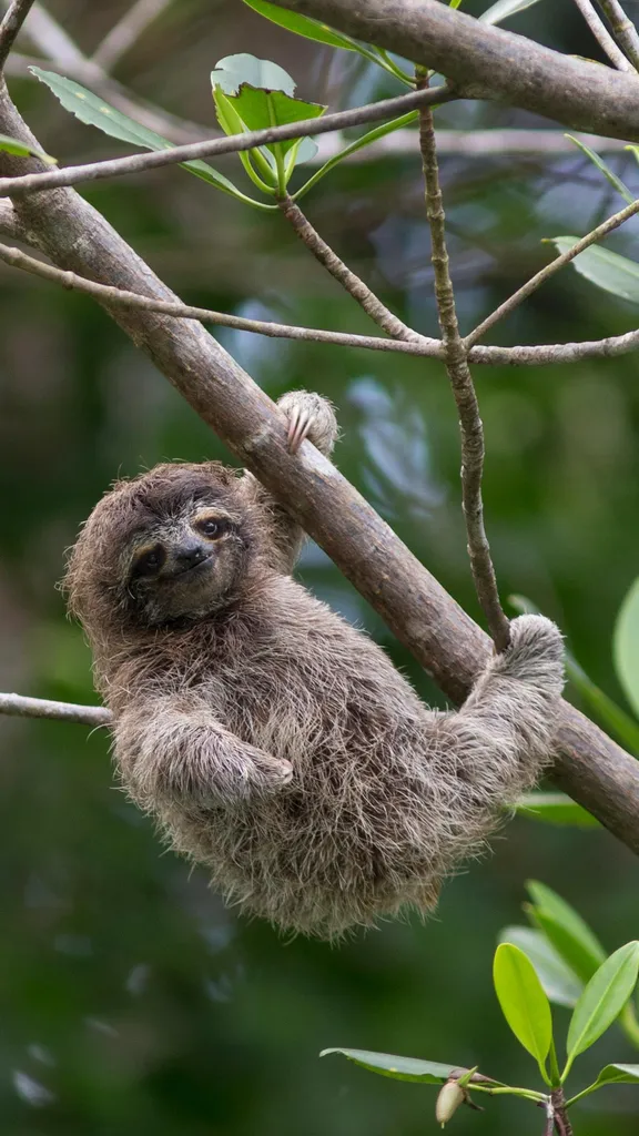 Wollen Sie nicht auch mal abh&auml;ngen?