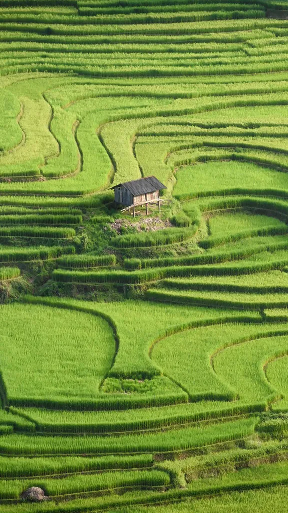 Rifugio tra le risaie