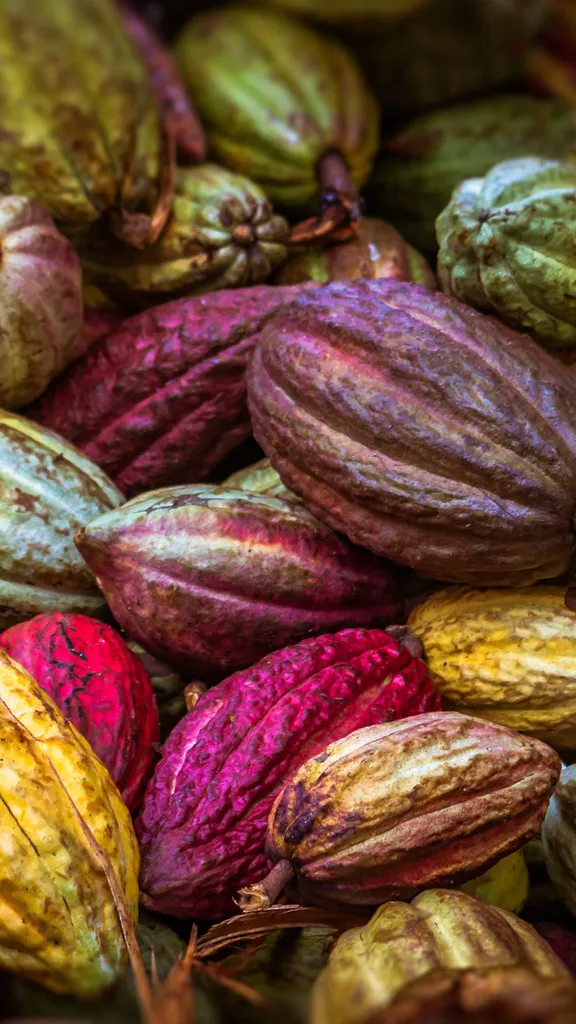 La fruta favorita de los amantes del chocolate