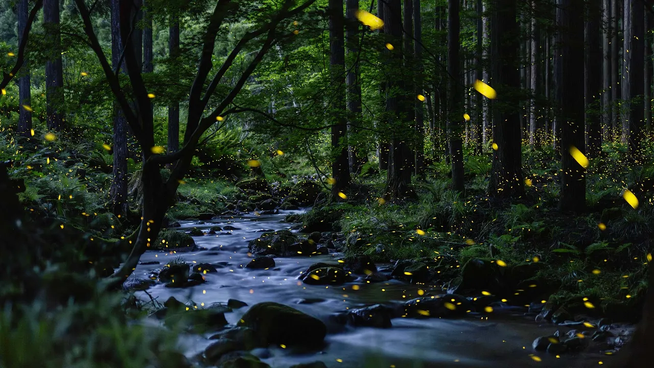The poetry of vanishing light