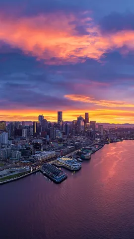 The Emerald City