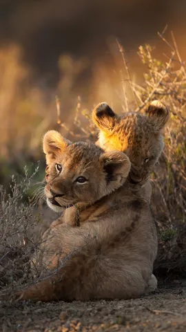 A look over the shoulder