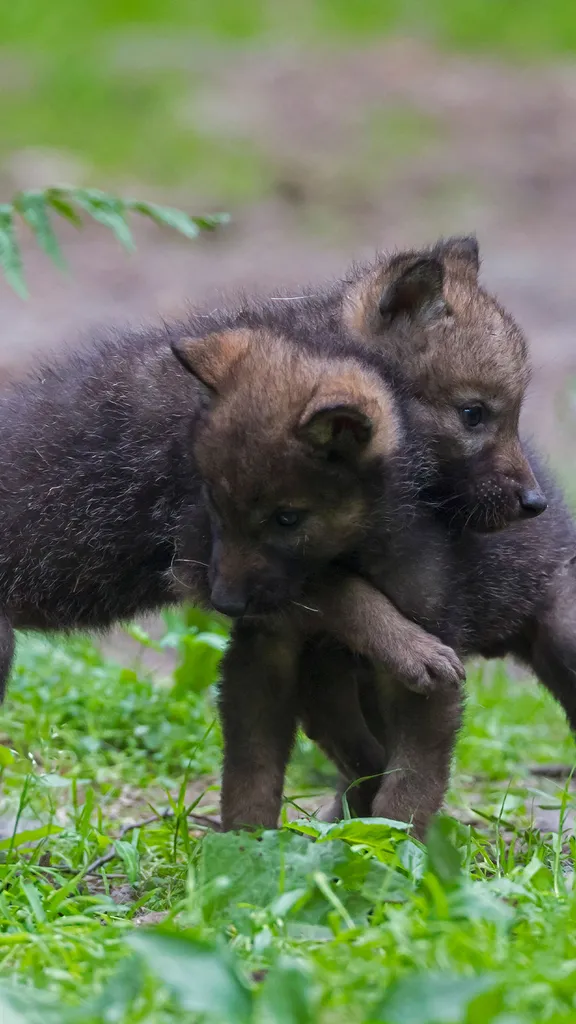 Ein Fest der Verbundenheit