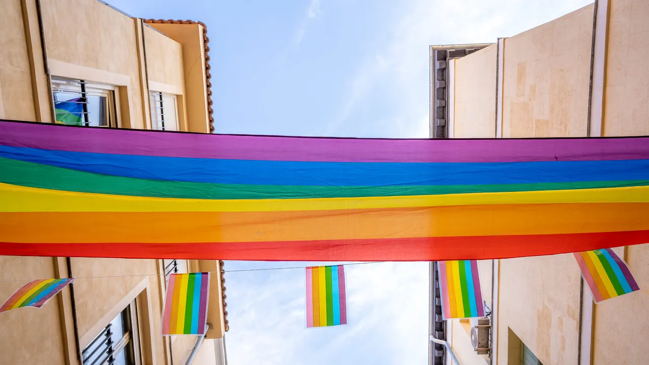 &iexcl;Los colores del orgullo!