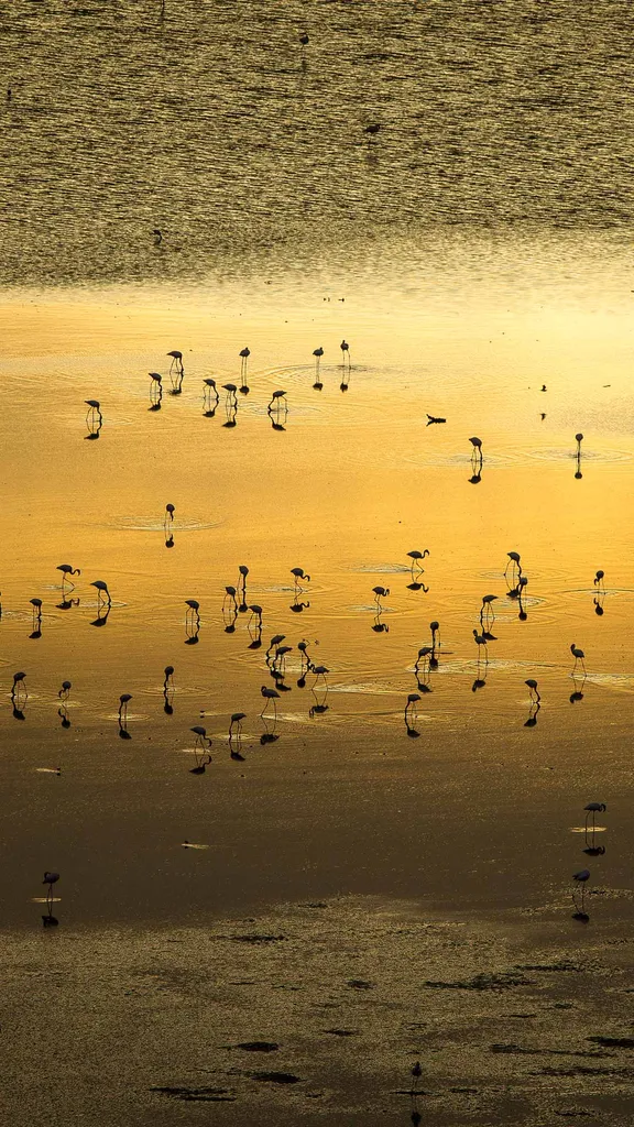 Water, wildlife and wonder